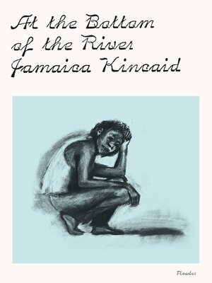 At the Bottom of the River - ebook